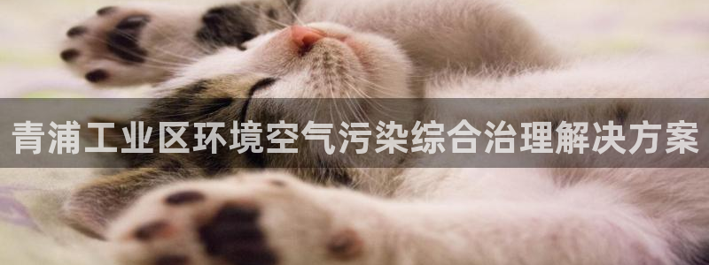 凯发网娱乐官网登录|青浦工业区环境空气污染综合治理解决方案