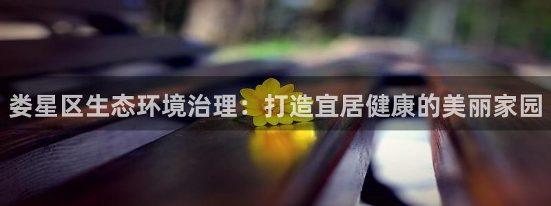 凯发就来凯发天生赢家一触即发|娄星区生态环境治理：打造宜居健康的美丽家园