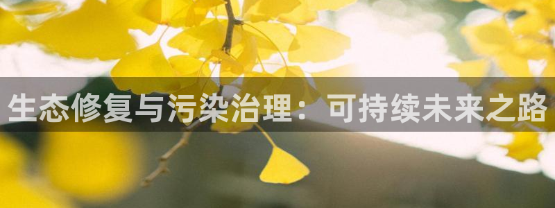 凯发k8旗舰厅注册登录|生态修复与污染治理：可持续未来之路