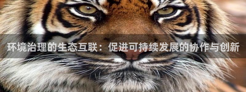 凯发唯一官方网站