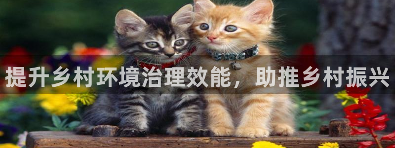 凯发k8官网登录vip|提升乡村环境治理