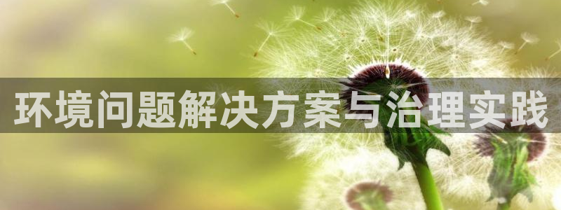 环境问题解决方案与治理实践