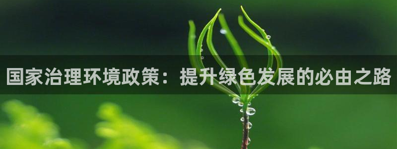 凯发唯一官方网站|国家治理环境政策：提升