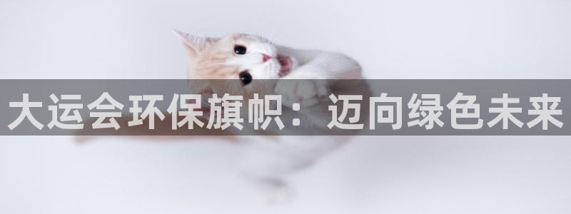 凯发k8天生赢家一触即发|大运会环保旗帜