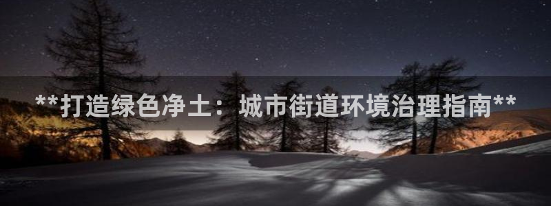 凯发k8天生赢家一触即发|**打造绿色净土：城市街道环境治理指南**