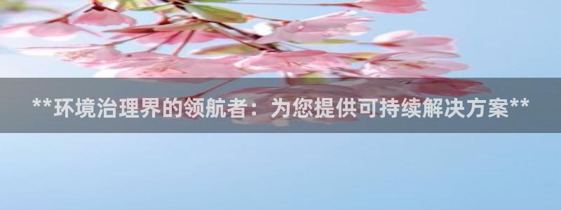 k8凯发国际官方入口|**环境治理界的领航者：为您提供可持续解决方案**