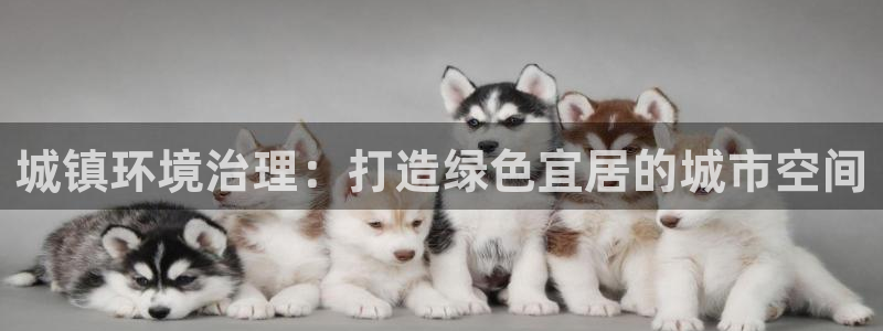 凯发k8一触即发|城镇环境治理：打造绿色