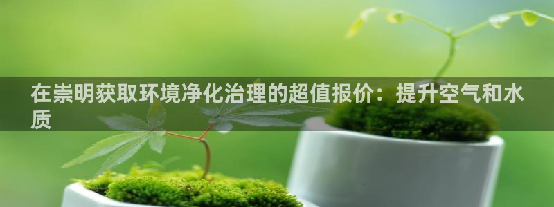 凯发网娱乐官网登录|在崇明获取环境净化治理的超值报价：提升空气和水
质